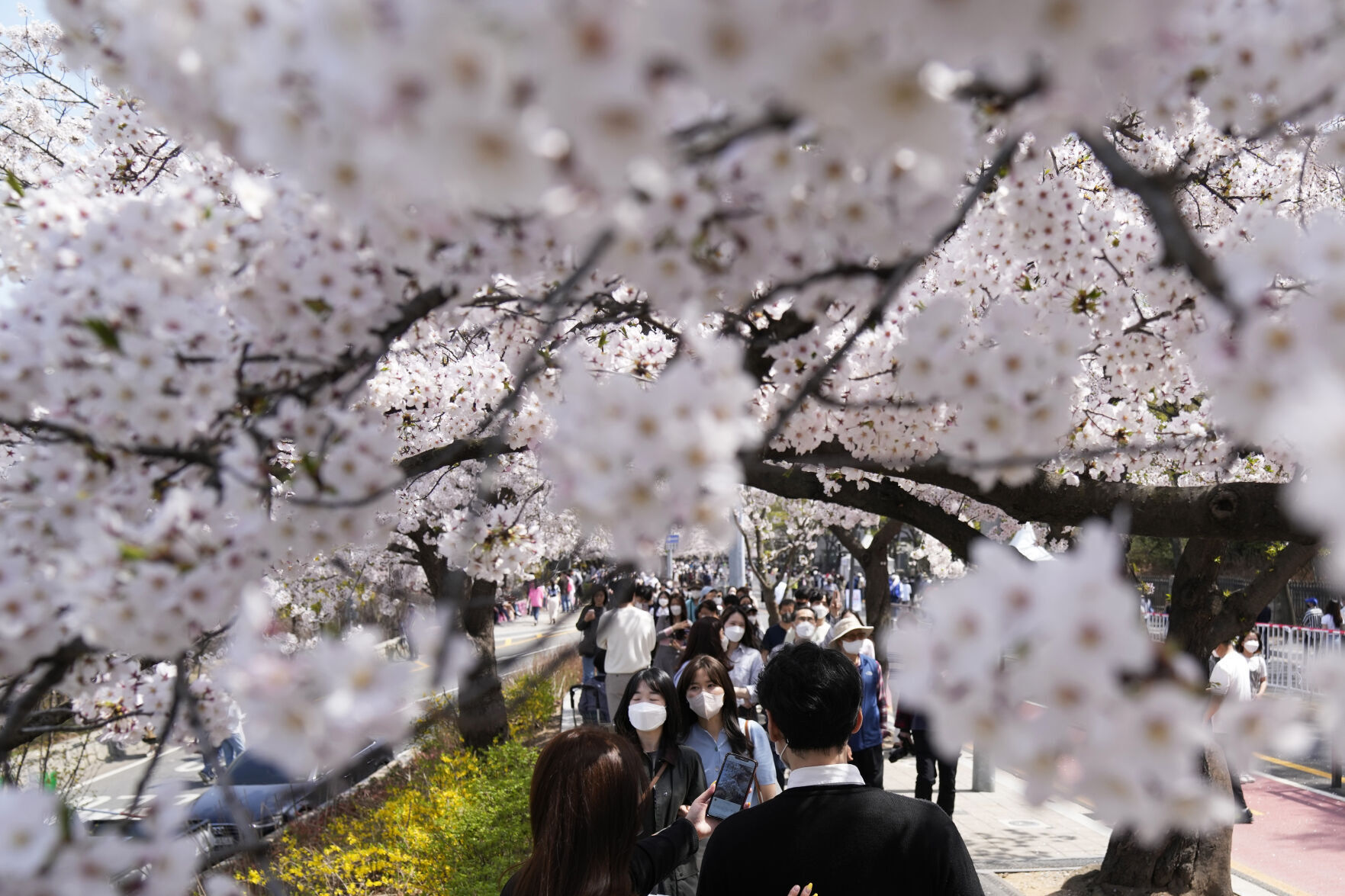 APTOPIX Virus Outbreak South Korea Daily Life